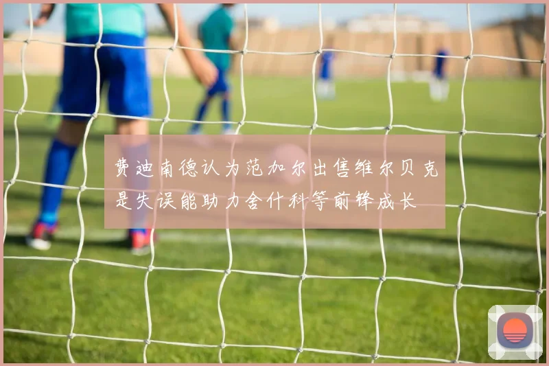 费迪南德认为范加尔出售维尔贝克是失误能助力舍什科等前锋成长
