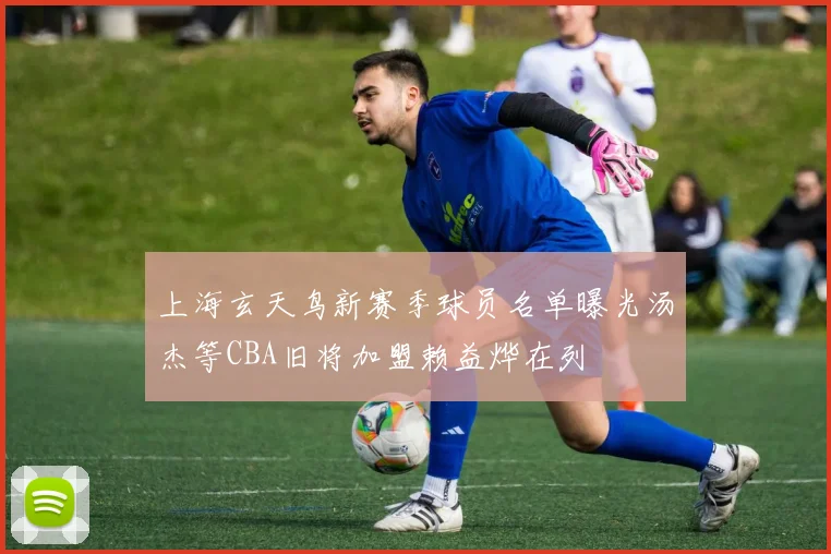 上海玄天鸟新赛季球员名单曝光汤杰等CBA旧将加盟赖益烨在列
